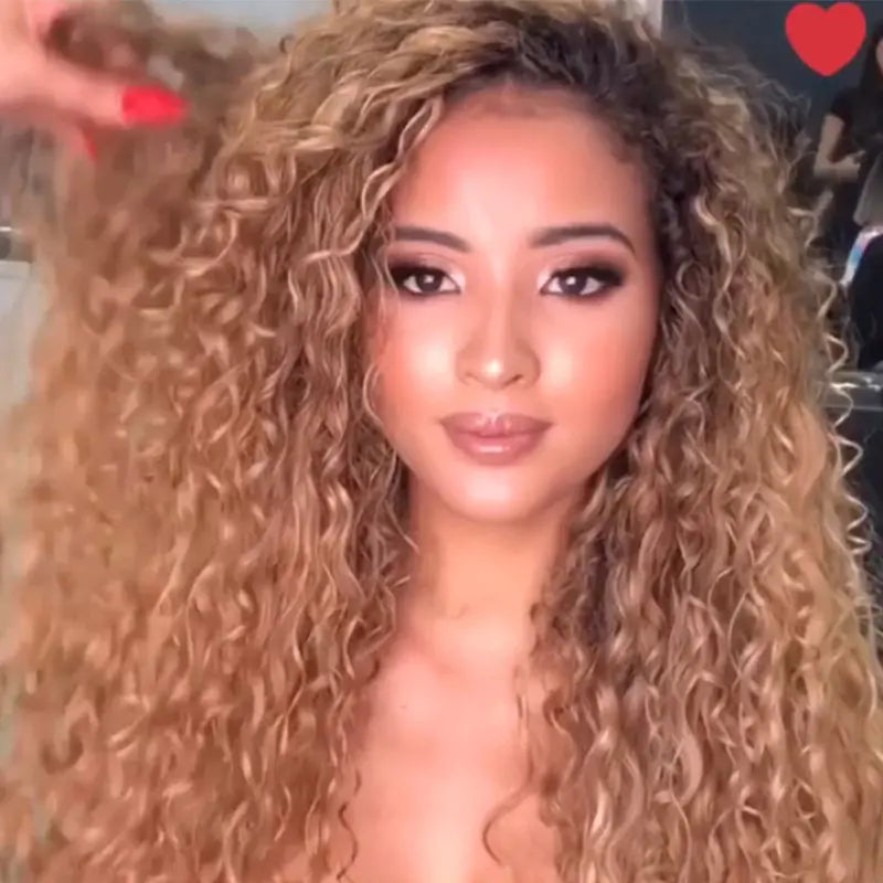 Long Curly African Hair Wig - Gradual Brown Fiber