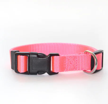 Nylon Pet Collar for Dogs and Cats (Single Item)