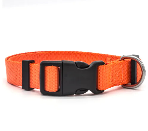 Nylon Pet Collar for Dogs and Cats (Single Item)