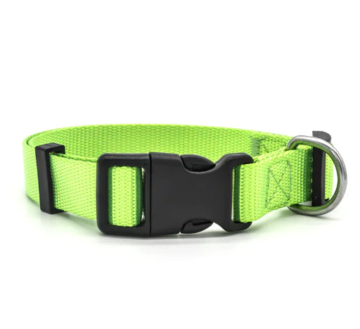 Nylon Pet Collar for Dogs and Cats (Single Item)