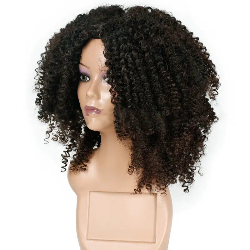 Kinky Curly Afro Wig for Women - Synthetic Hair