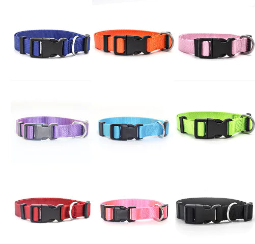 Nylon Pet Collar for Dogs and Cats (Single Item)