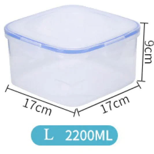 ClearView Fresh Bento Lunch Container