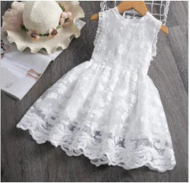 Lace Dress for Girls 2-7 Years with Butterfly Embroidery