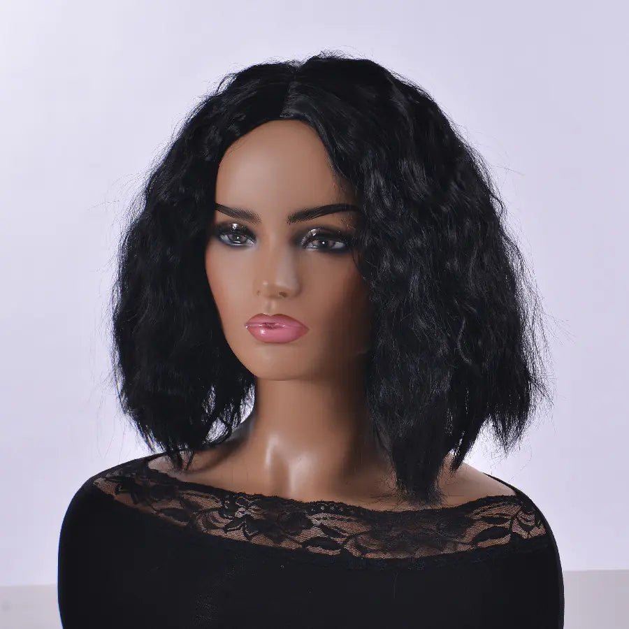 Popular Women's Wig - Afro Curly High-Temperature Fiber