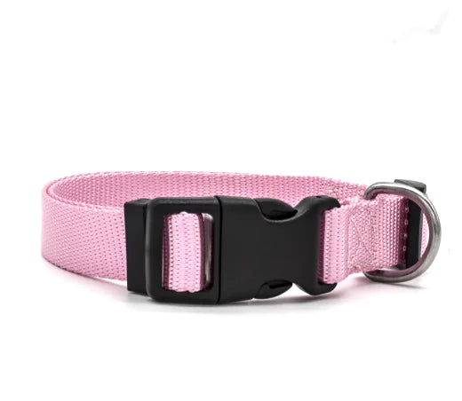 Nylon Pet Collar for Dogs and Cats (Single Item)