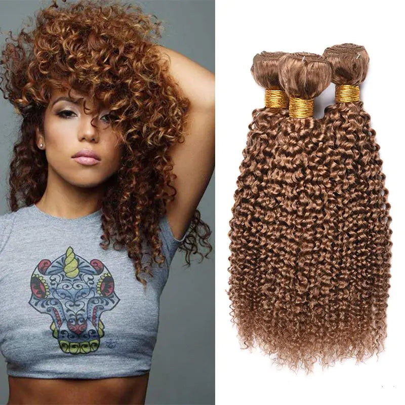 Brazilian Kinky Curly Wave Human Hair Wig 27#