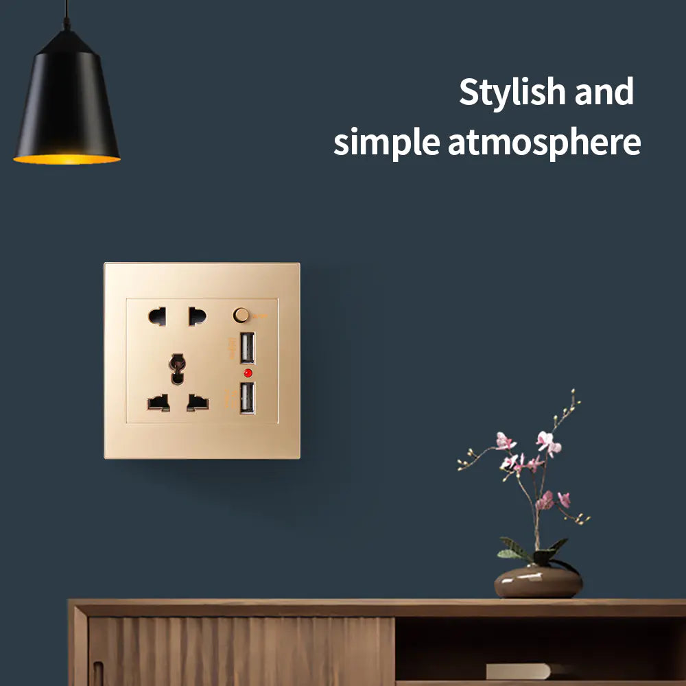 Multifunctional Five Hole Panel with Dual USB Socket