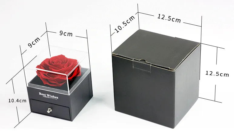 Preserved Flower  with Necklace