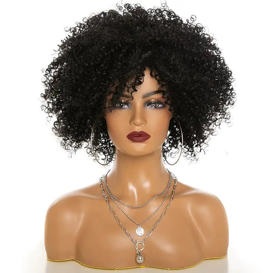 Afro Kinky Curly Hair Wigs (Multiple Styles Available)