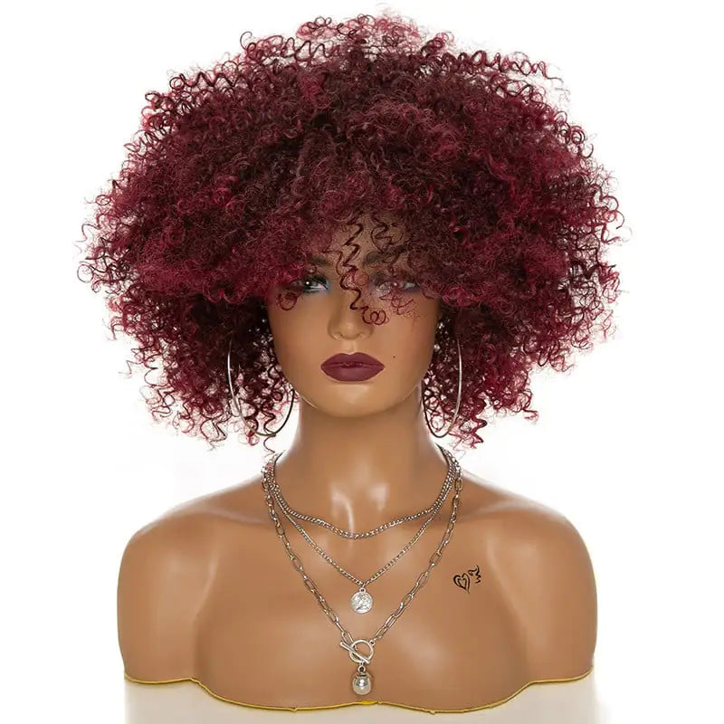 Afro Kinky Curly Hair Wigs (Multiple Styles Available)