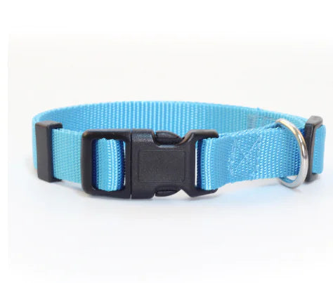 Nylon Pet Collar for Dogs and Cats (Single Item)