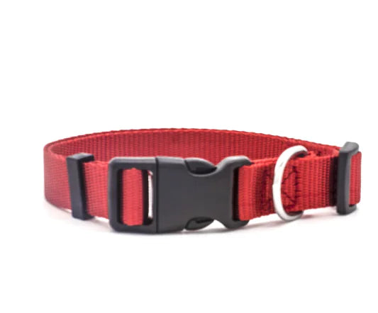 Nylon Pet Collar for Dogs and Cats (Single Item)