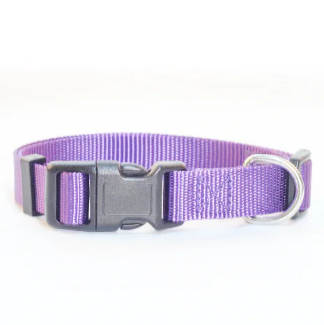 Nylon Pet Collar for Dogs and Cats (Single Item)