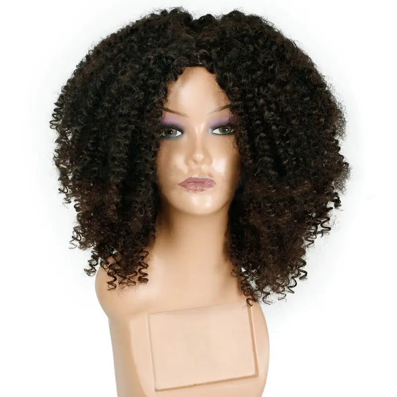 Kinky Curly Afro Wig for Women - Synthetic Hair
