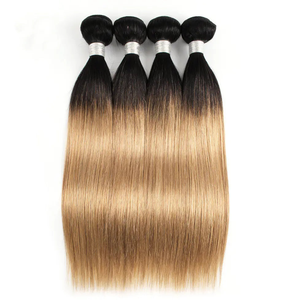 T1B/27 Brazilian Straight Human Hair Wig Curtain