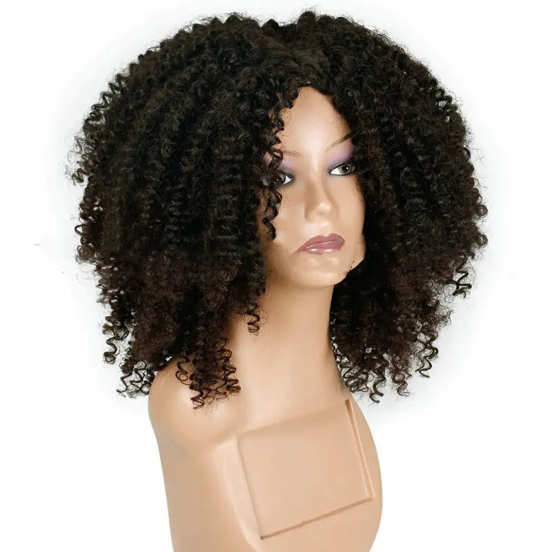 Kinky Curly Afro Wig for Women - Synthetic Hair