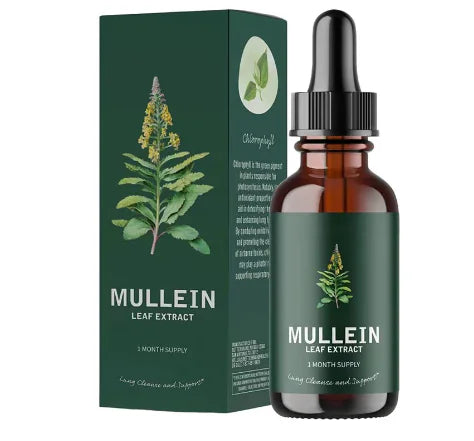 Organic Mullein Leaf Extract (Single Item)