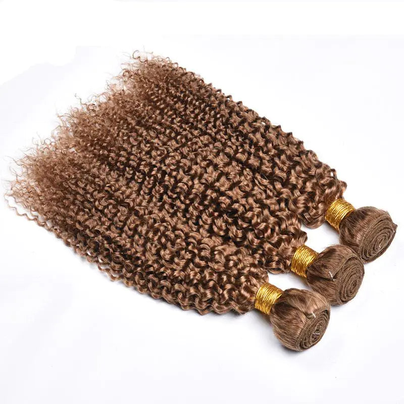 Brazilian Kinky Curly Wave Human Hair Wig 27#