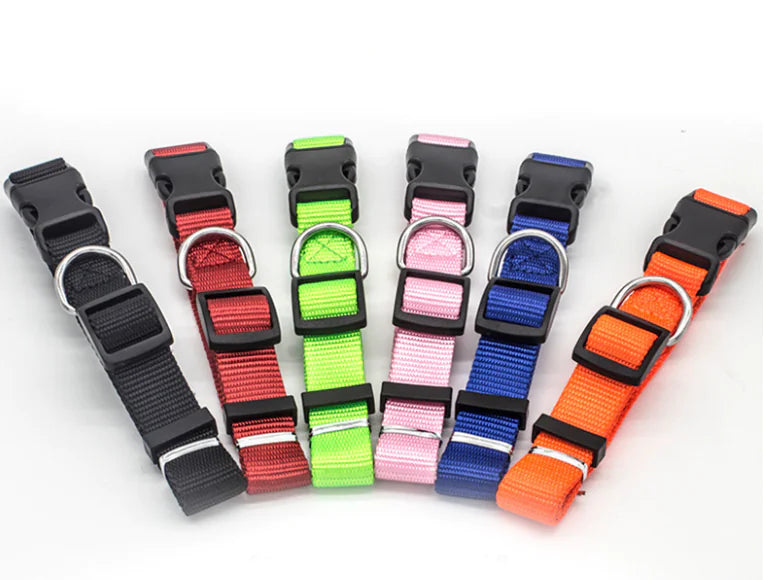 Nylon Pet Collar for Dogs and Cats (Single Item)