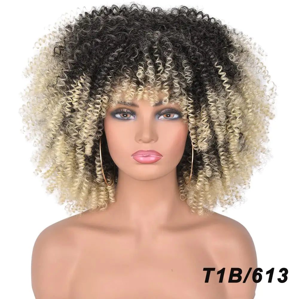 African Black Short Curly Wig in Mixed Colors