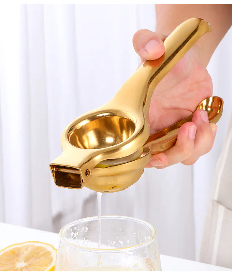 Manual Stainless Steel Juicer for Citrus and Fruits