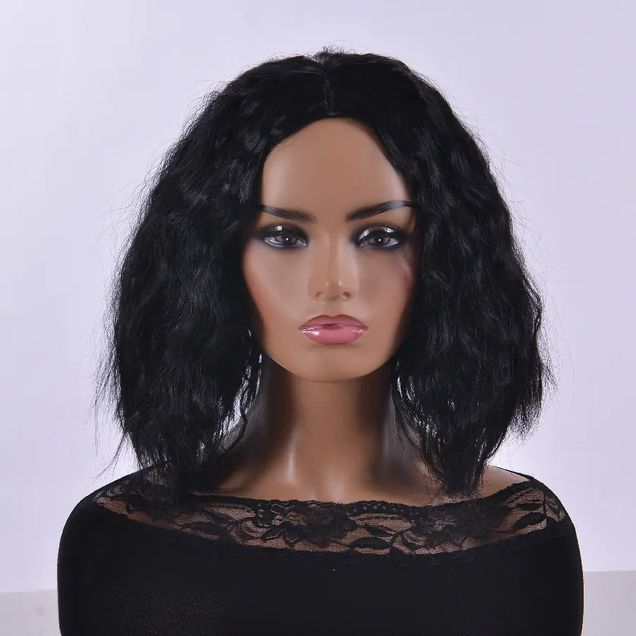 Popular Women's Wig - Afro Curly High-Temperature Fiber